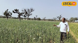 30,000 किसानों ने भरा फॉर्म, फिर भी केवल 600 को मिलेगा अनुदान! नौकरी की टेंशन खत्म! 10x10 के कमरे से शुरू करें ये धांसू बिजनेस, हर महीने होगी बंधी-बंधाई कमाई
